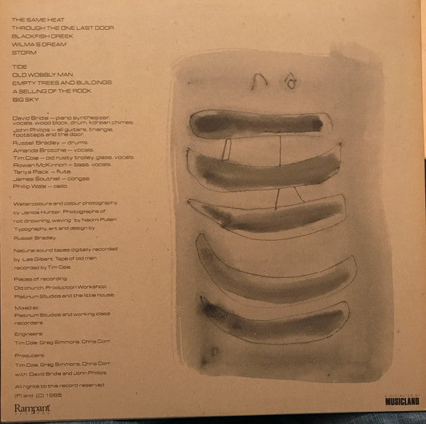 Not Drowning, Waving : The Little Desert (LP, Album)