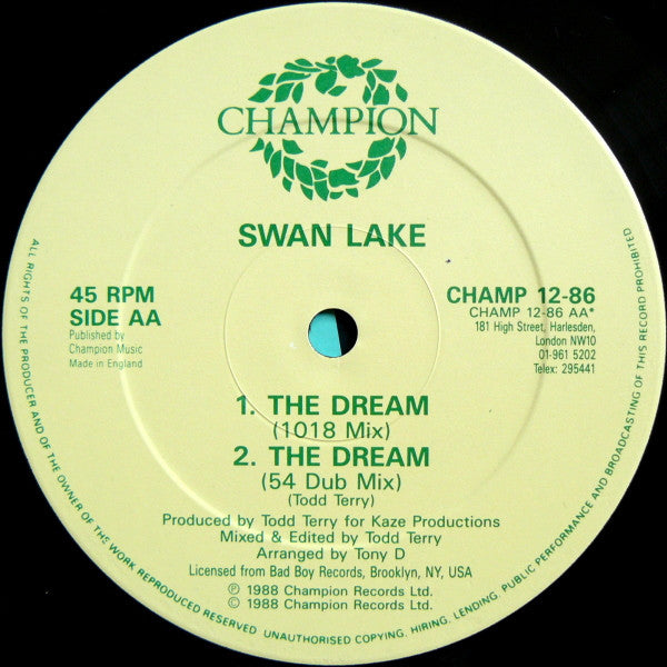 Swan Lake : In The Name Of Love / The Dream (12")