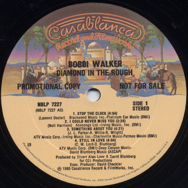 Bobbi Walker : Diamond In The Rough (LP, Album, Promo)