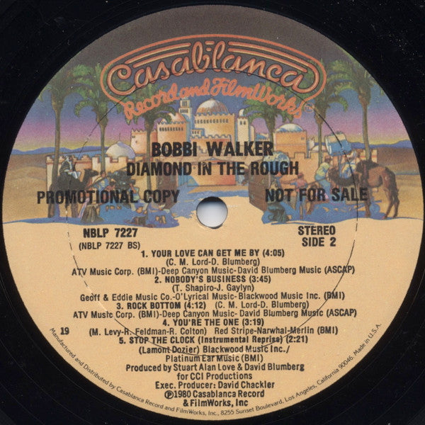 Bobbi Walker : Diamond In The Rough (LP, Album, Promo)