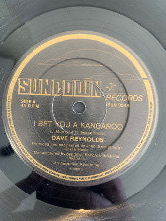 Dave Reynolds (14) : Second Time Around  (7")