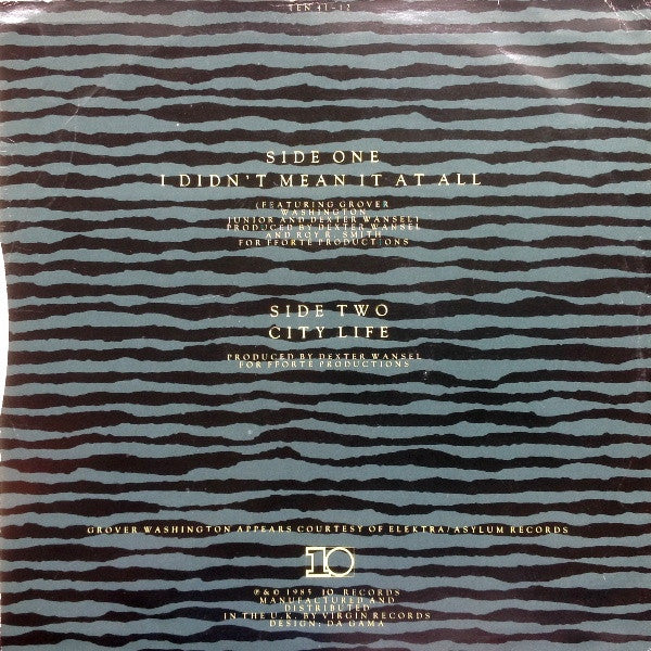 Sasss : I Didn't Mean It At All (12", Single)