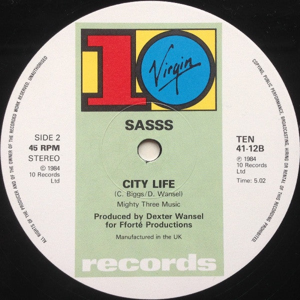 Sasss : I Didn't Mean It At All (12", Single)