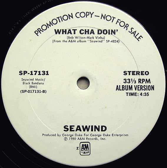Seawind : What Cha Doin' (12", Single, Promo)