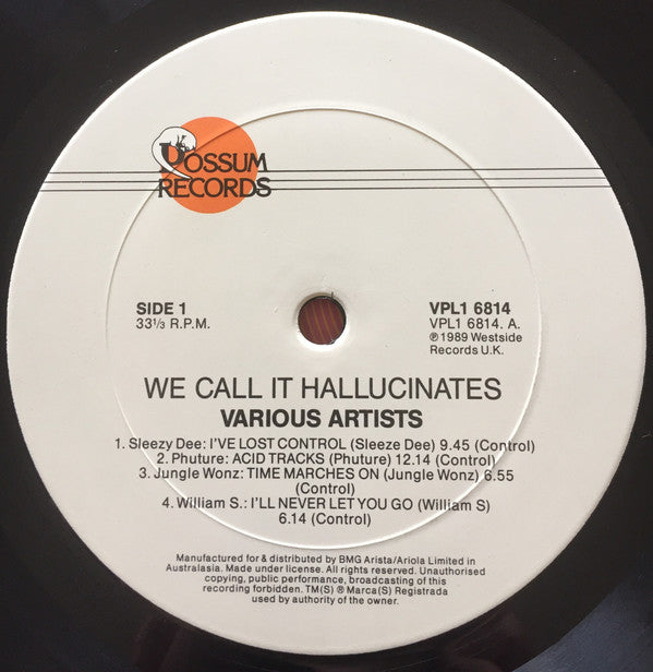 Various : We Call It Hallucinates (LP, Comp)