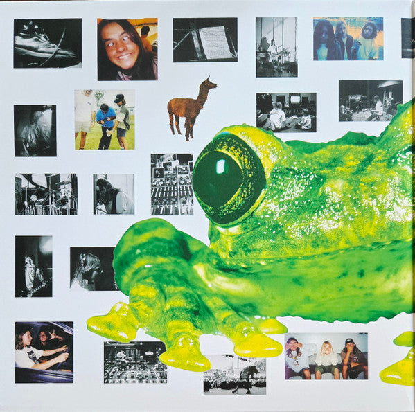 Silverchair : Frogstomp (LP, Yel + LP, S/Sided, Etch, Yel + Album, Ltd, Num)