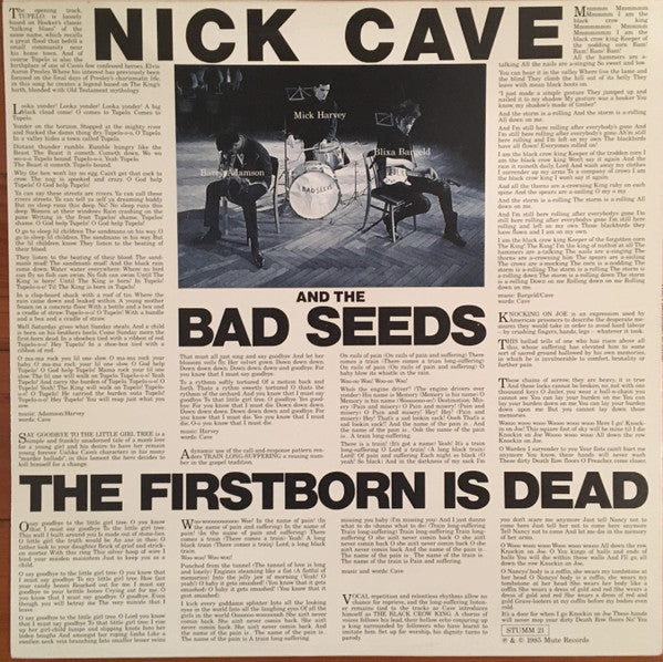 Nick Cave & The Bad Seeds : The Firstborn Is Dead (LP, Album)