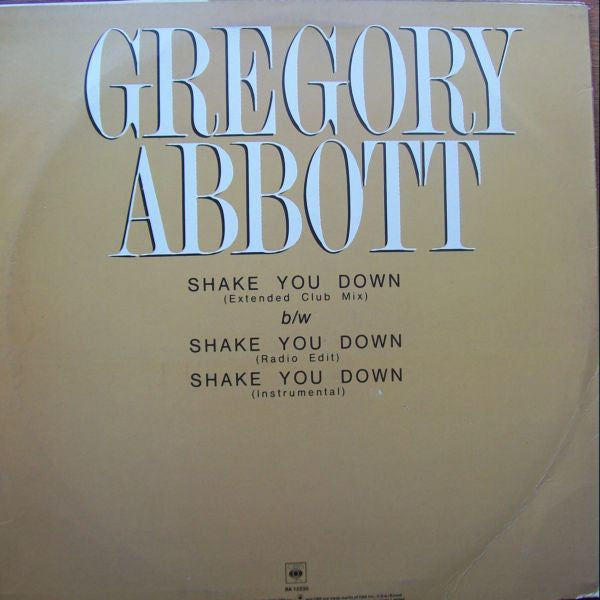 Gregory Abbott : Shake You Down (12")