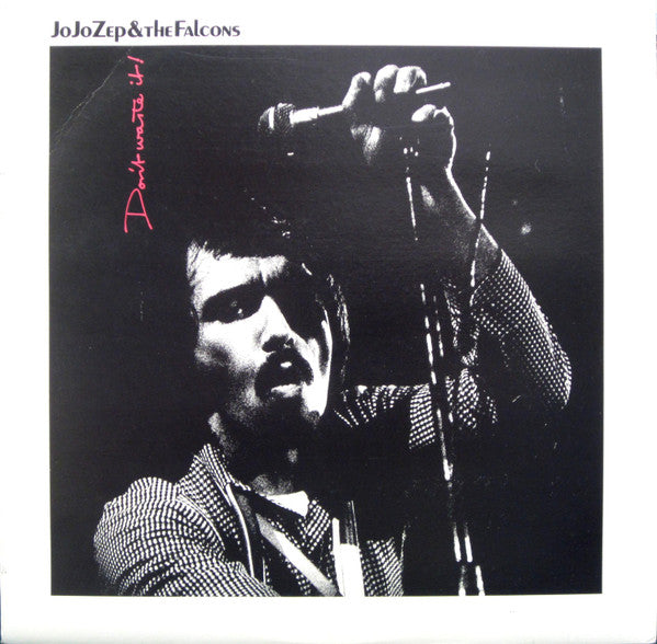 Jo Jo Zep and the Falcons : Don't Waste It (LP, Album)