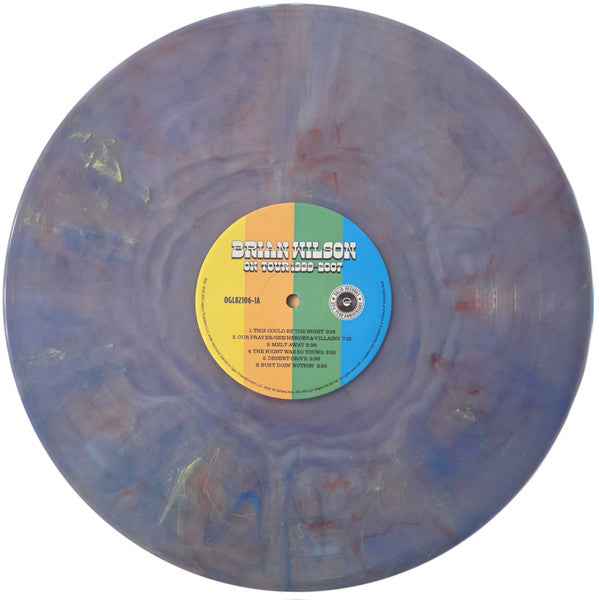 Brian Wilson : On Tour 1999-2007 (LP, Album, RSD)
