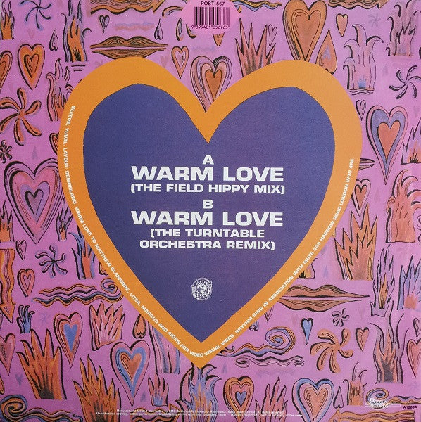 The Beatmasters Featuring Claudia Fontaine : Warm Love - The Remixes (12")