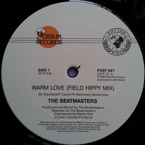 The Beatmasters Featuring Claudia Fontaine : Warm Love - The Remixes (12")