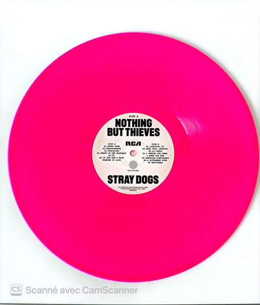 Nothing But Thieves : Stray Dogs (LP, Album, Pin)