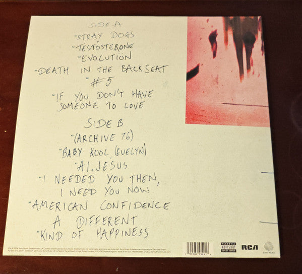 Nothing But Thieves : Stray Dogs (LP, Album)
