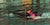 Olivia* : Physical (LP, Album)