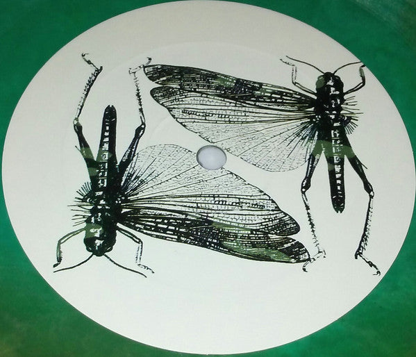 The Locust : The Locust (LP, Album, Gre)