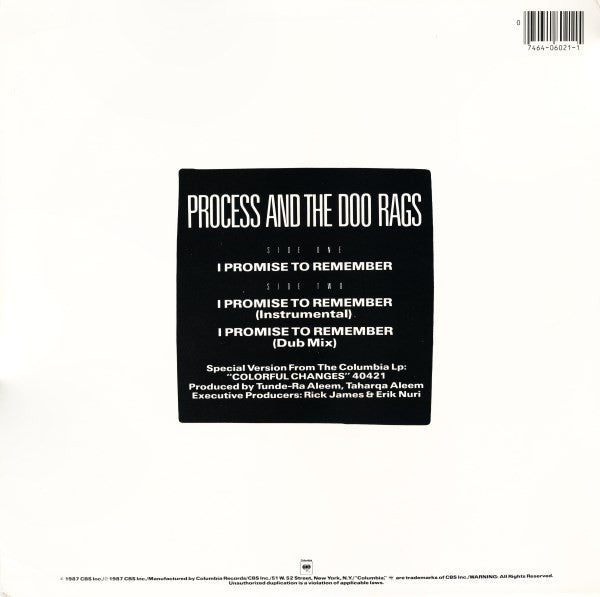 Process And The Doo Rags : I Promise To Remember (12", Single)
