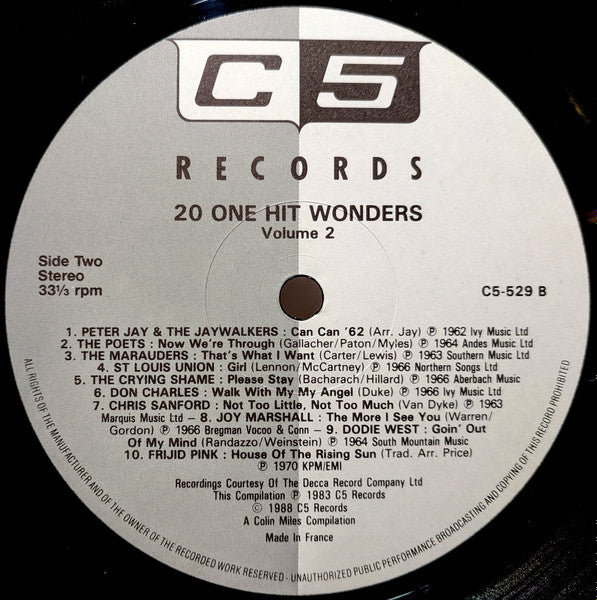 Various : 20 One Hit Wonders Volume Two (LP, Comp)