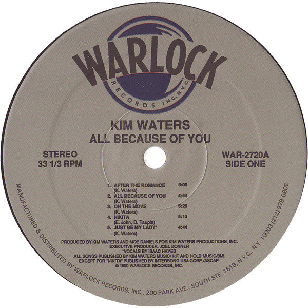 Kim Waters : All Because Of You (LP, Album)