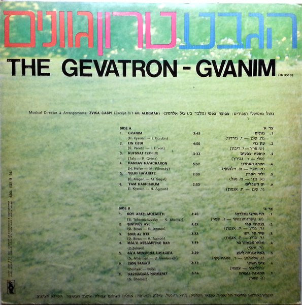 The Gevatron* : Gvanim (LP, Album)