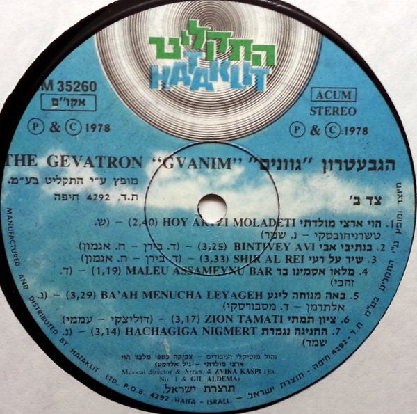 The Gevatron* : Gvanim (LP, Album)