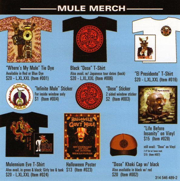 Gov't Mule : Life Before Insanity (CD, Album)