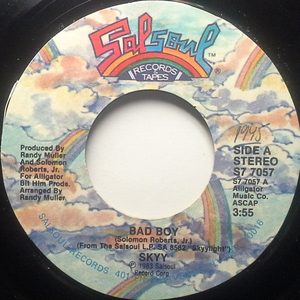 Skyy : Bad Boy (7&quot;)