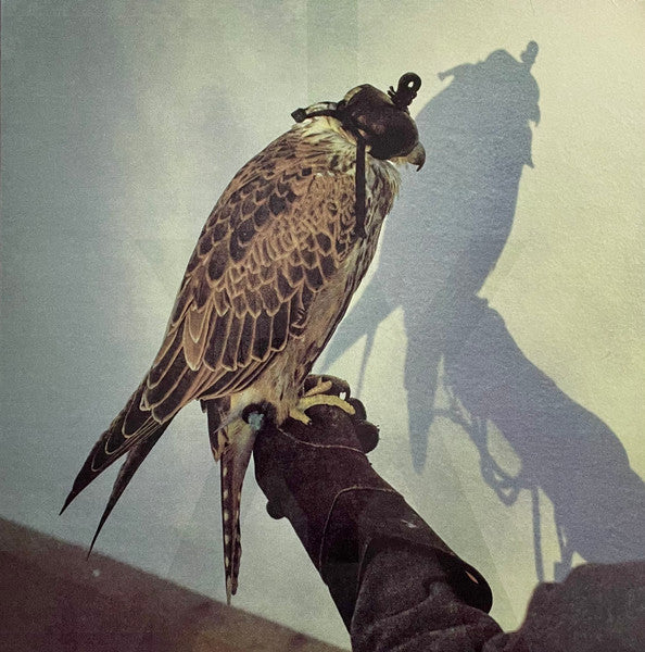 Iceage : You're Nothing (LP, Album)