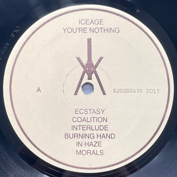 Iceage : You're Nothing (LP, Album)