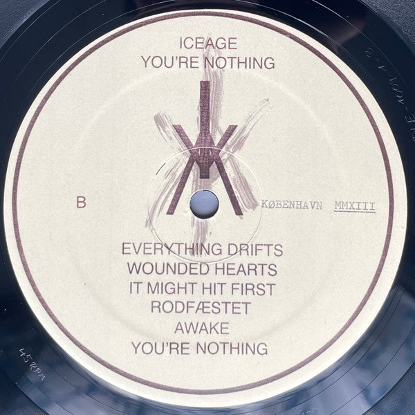 Iceage : You're Nothing (LP, Album)