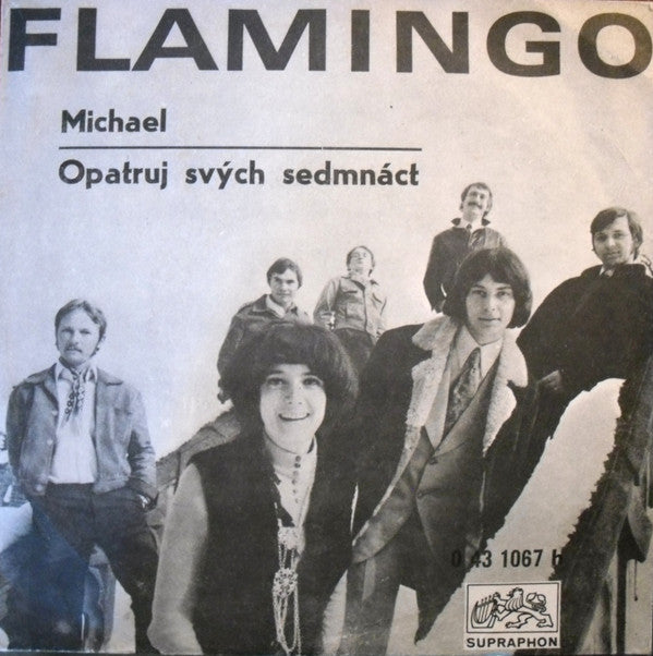 Petr Němec, Flamingo (6) : Michael / Opatruj Svých Sedmnáct (7", Mono)
