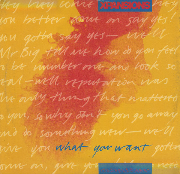 Xpansions : What You Want (12", Single)
