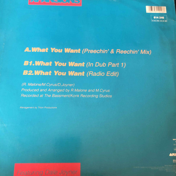 Xpansions : What You Want (12", Single)