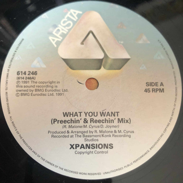 Xpansions : What You Want (12", Single)