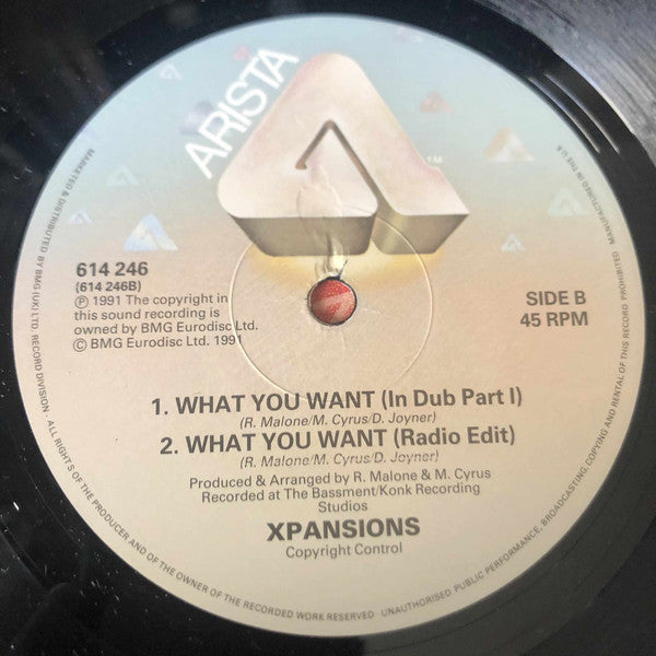 Xpansions : What You Want (12", Single)