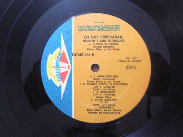 Nelson Y Sus Estrellas : Lo Que Esperaban De Nelson Y Sus Estrellas (LP, Album)