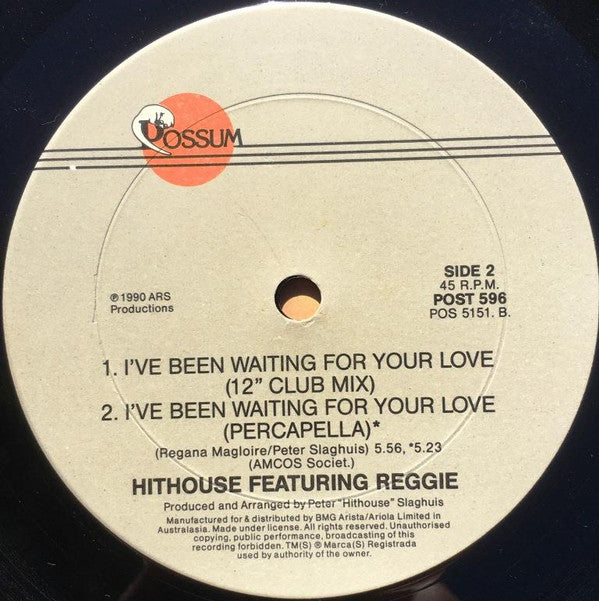 Hithouse : I've Been Waiting For Your Love (12", Single)