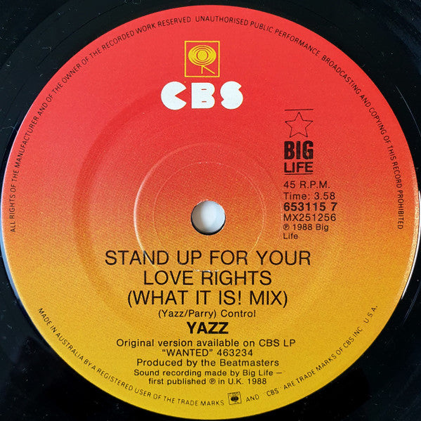 Yazz : Stand Up For Your Love Rights (7")