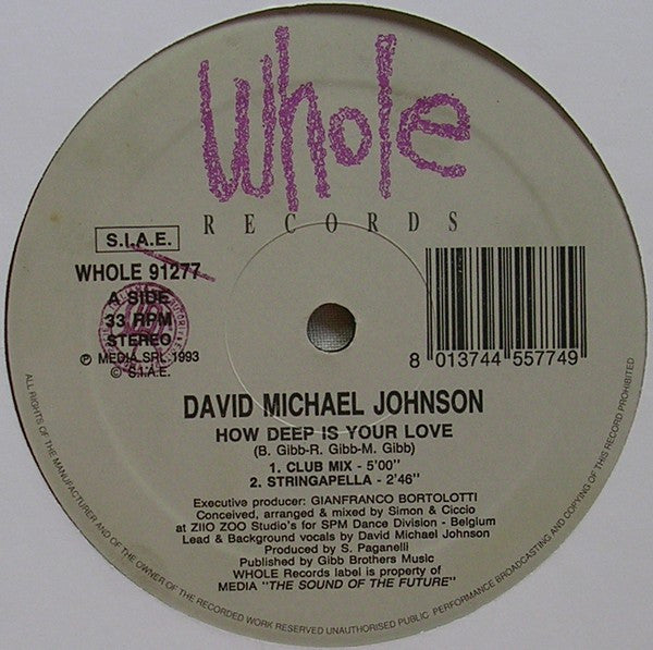 David Michael Johnson : How Deep Is Your Love (12")