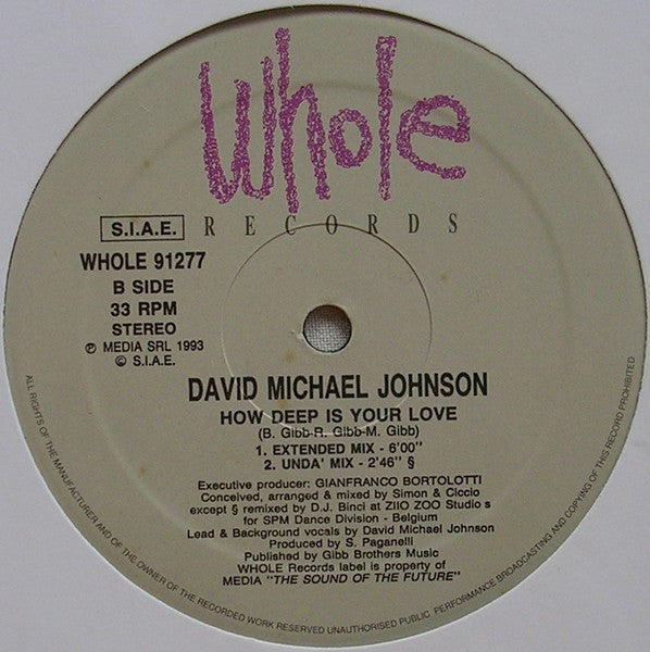 David Michael Johnson : How Deep Is Your Love (12")