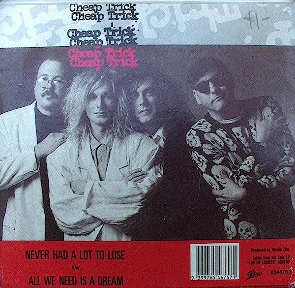 Cheap Trick : Never Had A Lot To Lose (7")
