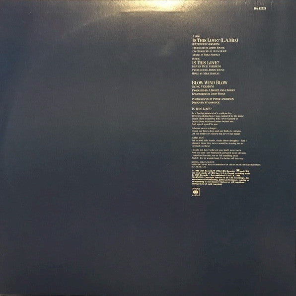 Alison Moyet : Is This Love? (12", Single)