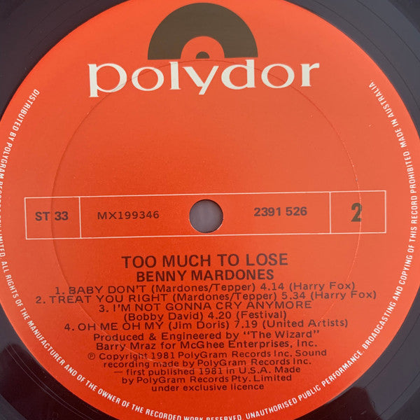 Benny Mardones : Too Much To Lose (LP, Album)