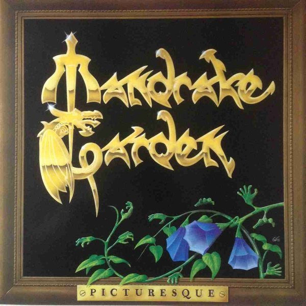 Mandrake Garden : Picturesque (12&quot;)