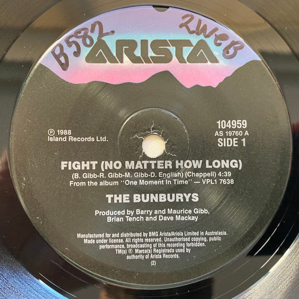 The Bunburys : Fight (No Matter How Long) (7", Pic)