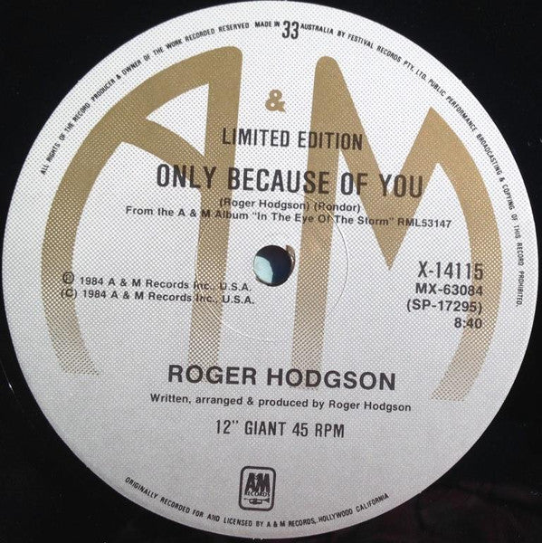 Roger Hodgson : Had A Dream (Sleeping With The Enemy) (12", Single)