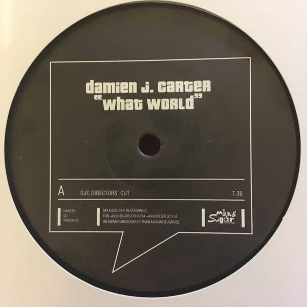 Damien J. Carter : What World (12&quot;, S/Sided, Ltd)