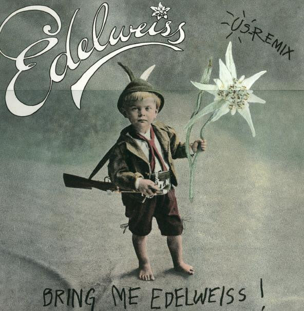 Edelweiss : Bring Me Edelweiss (US Remix) (12&quot;)