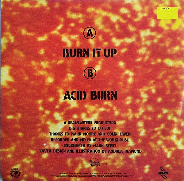 The Beatmasters : Burn It Up (12")