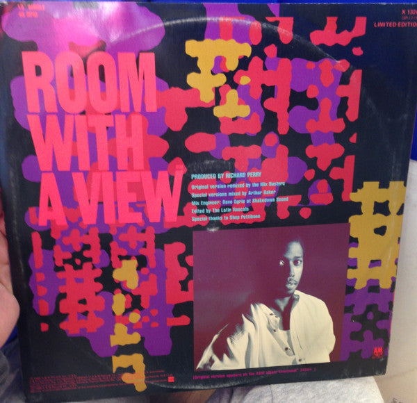 Jeffrey Osborne : Room With A View (12", Single, Ltd)